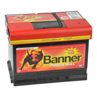Banner Power Bull P6205
